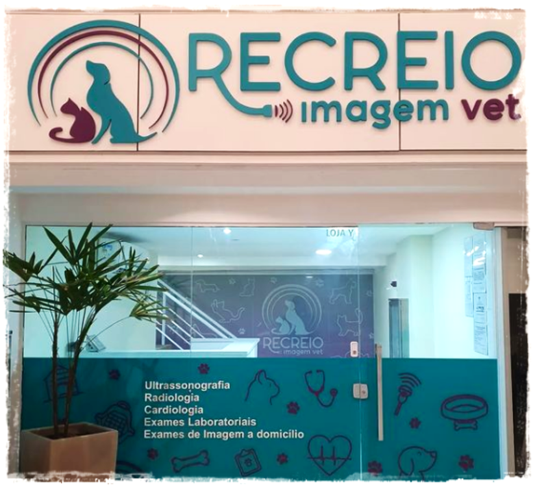 Atendimento veterinário dermatologista em consultório